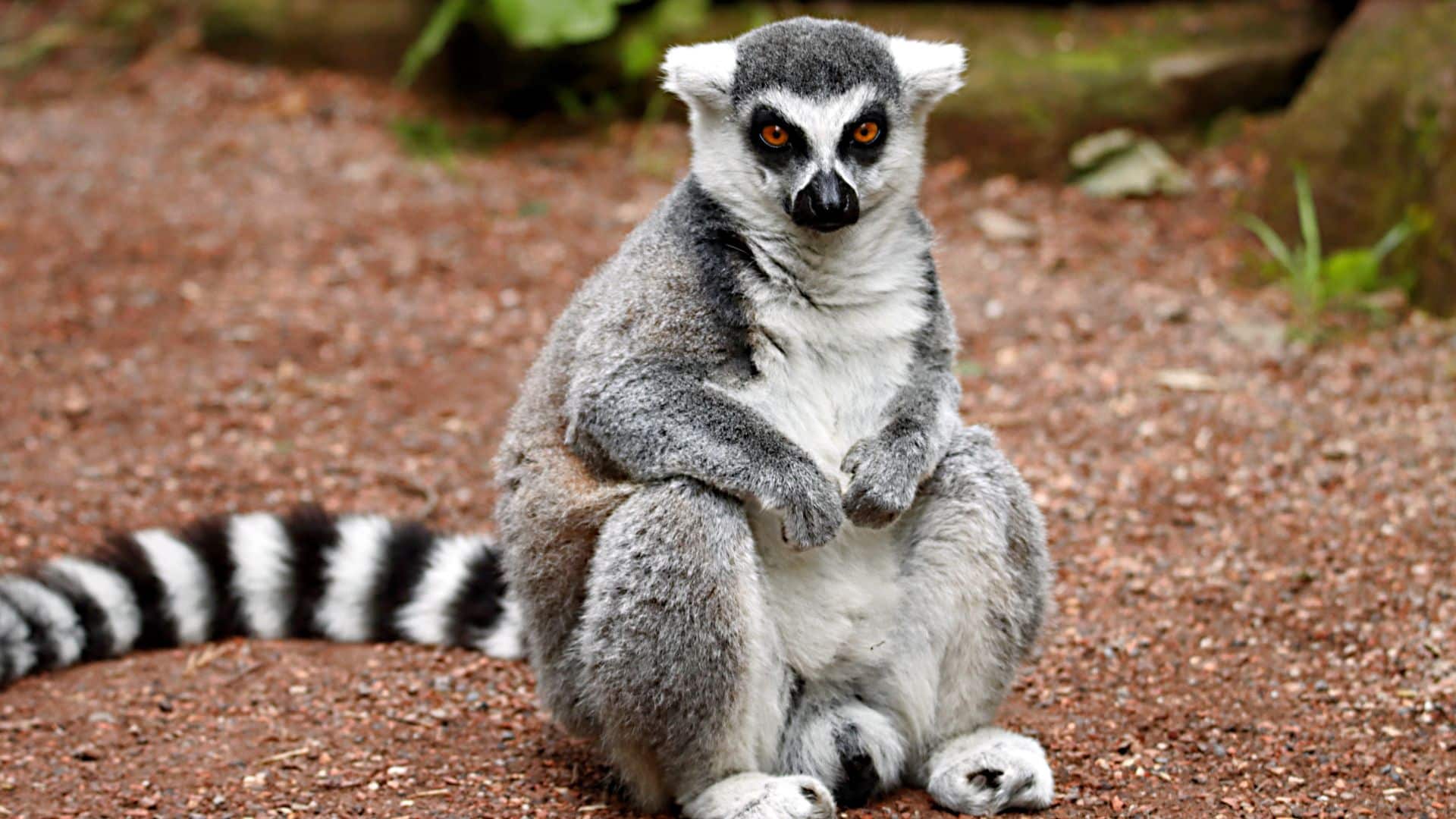 Science and Geography trip to Madagascar 1