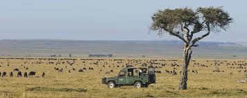 Maasai Mara