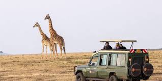 Maasai Mara 4