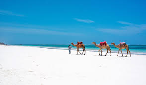 The ultimate Beach Escape DIANI 4