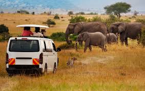 Footsteps of Giants Beneath Kilimanjaro AMBOSELI 2