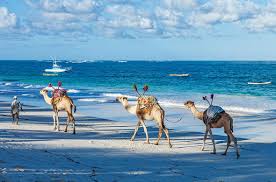 MALINDI & WATAMU 3