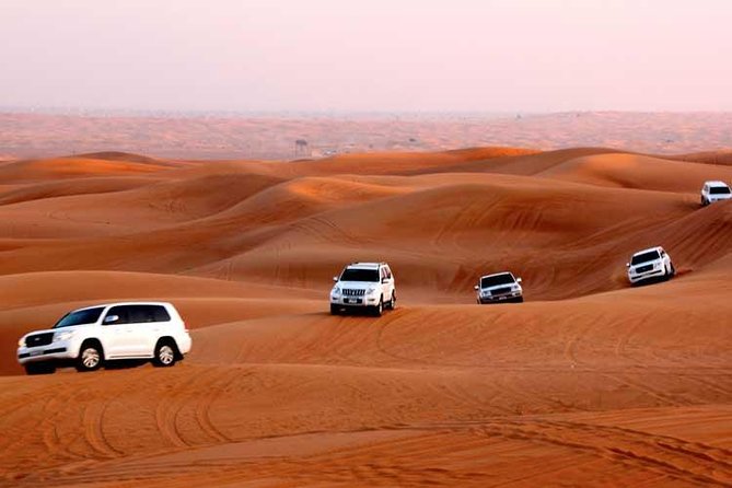 The Dubai Experience 6